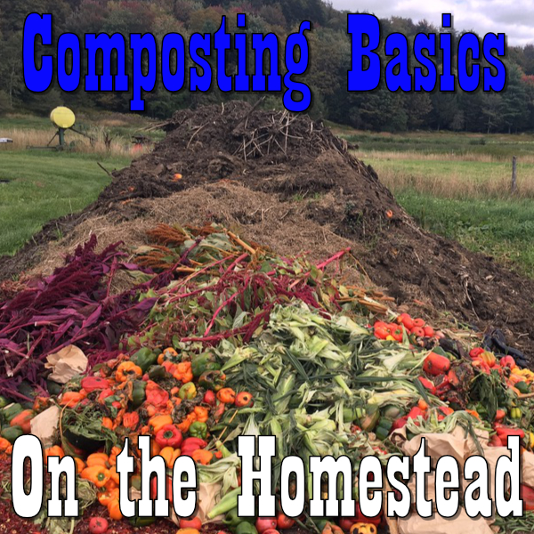 composting basics on the homestead