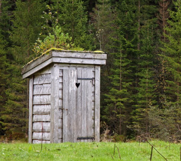 outhouse in the woods