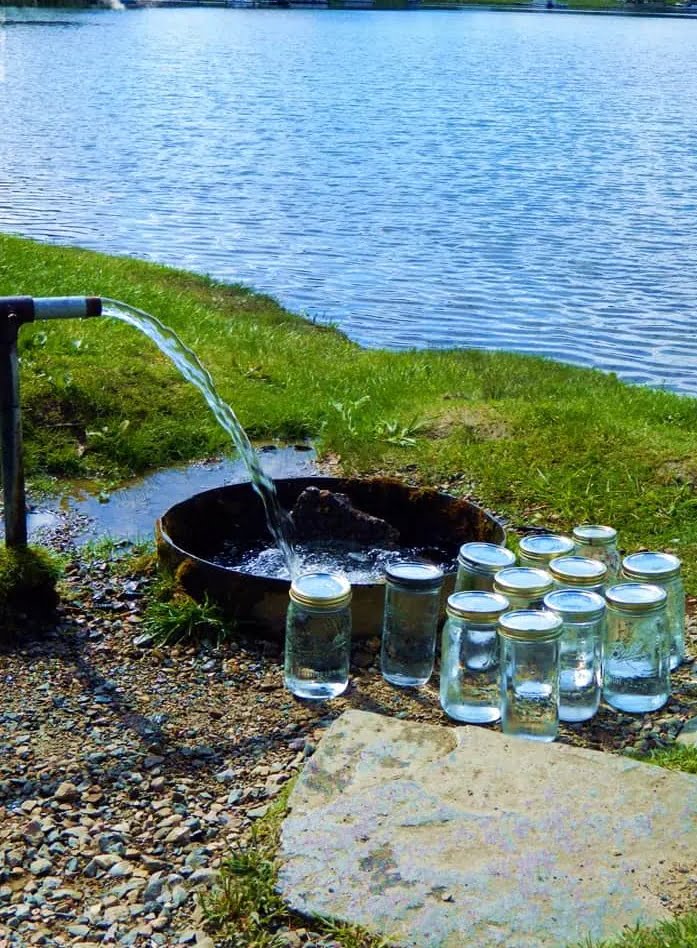 collecting spring water