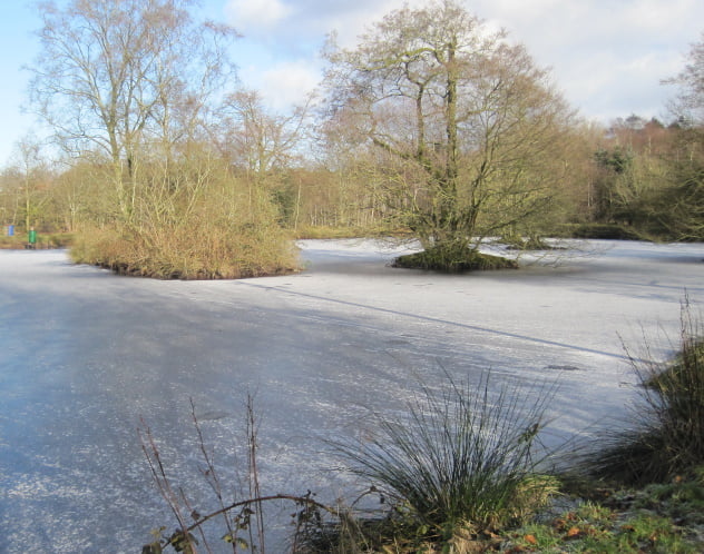frozen pond